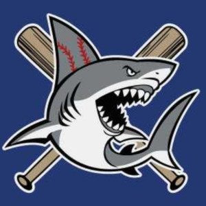 Silicon Valley Sharks logo