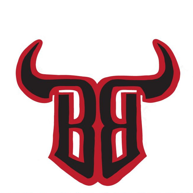 Tehama Bulls 19u temporary logo.