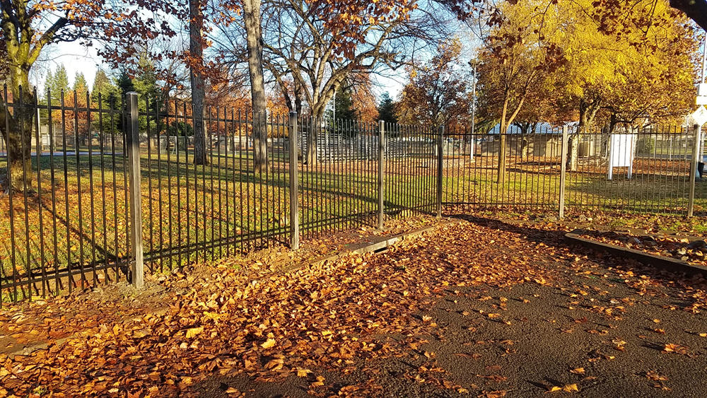 South City Park Restoration Project