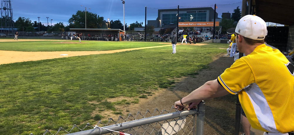 Take ’em Out to the Ball Game!